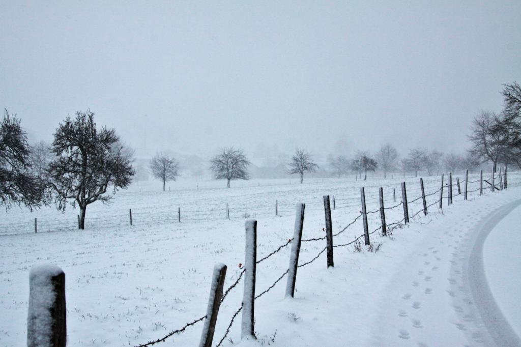 Zäune im Schneetreiben.jpg - Zäune im Schneetreiben / Bad Feilnbach